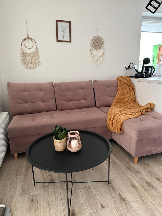 Mr. Sowa Sokolec Apartment Ludwikowice Klodzkie Luaran gambar