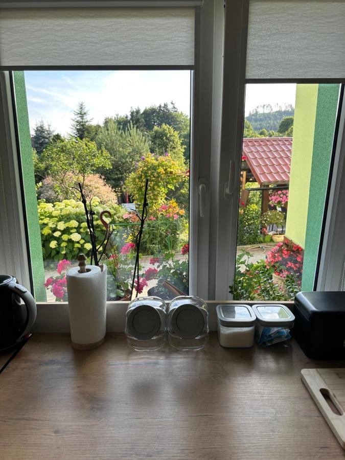 Mr. Sowa Sokolec Apartment Ludwikowice Klodzkie Luaran gambar