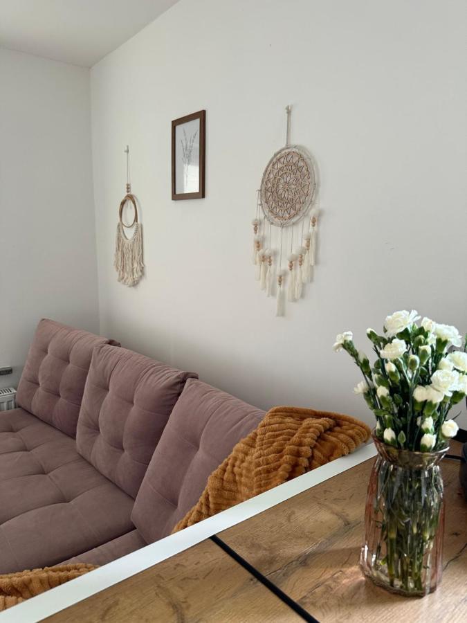 Mr. Sowa Sokolec Apartment Ludwikowice Klodzkie Luaran gambar