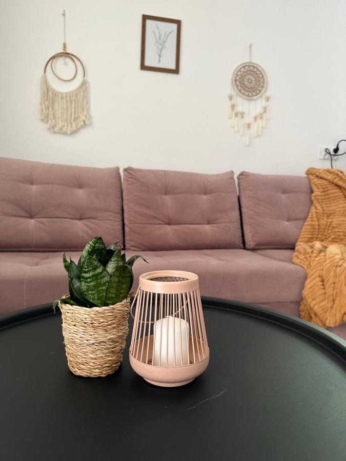 Mr. Sowa Sokolec Apartment Ludwikowice Klodzkie Luaran gambar
