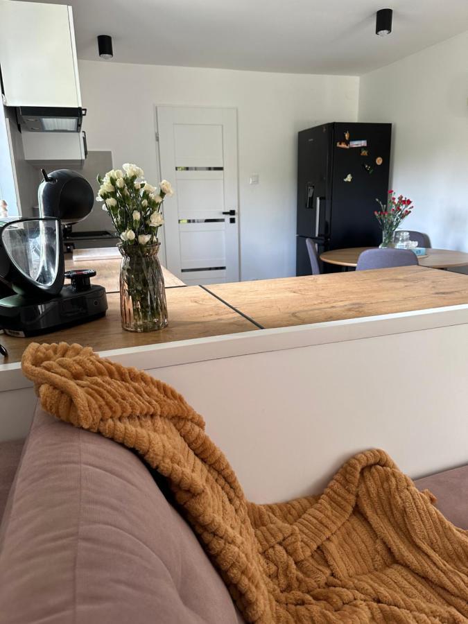 Mr. Sowa Sokolec Apartment Ludwikowice Klodzkie Luaran gambar