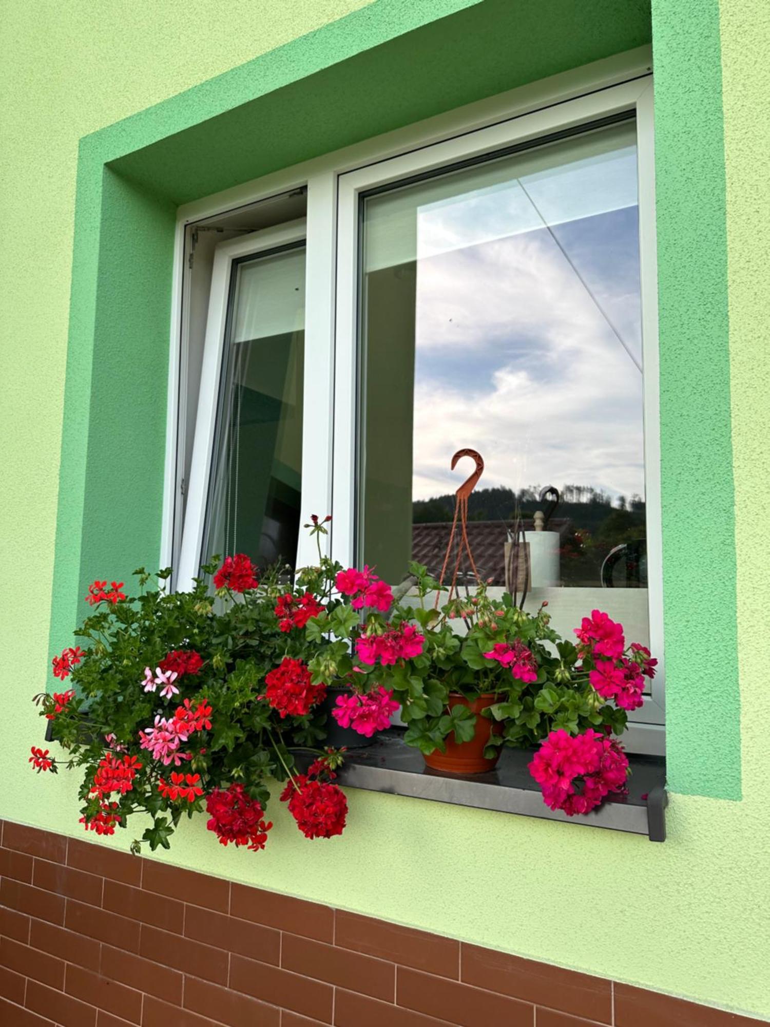 Mr. Sowa Sokolec Apartment Ludwikowice Klodzkie Luaran gambar